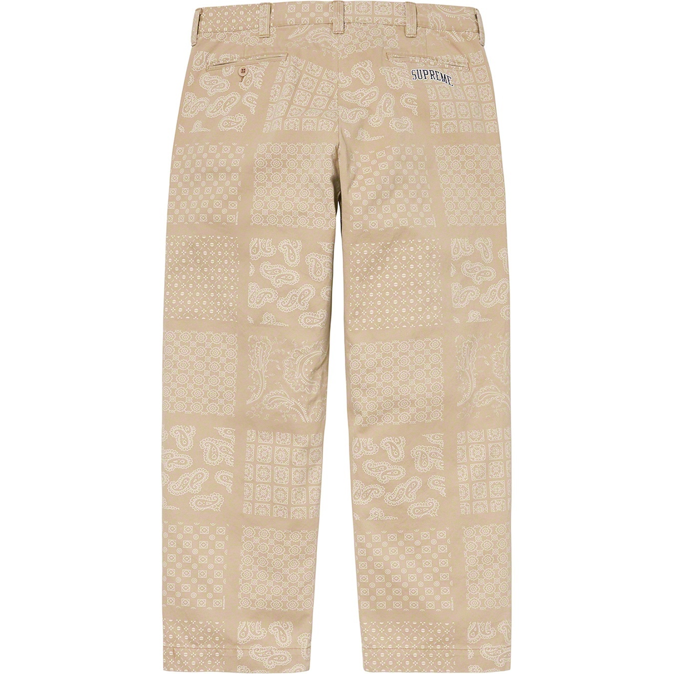 Paisley Grid Chino Pant view 5